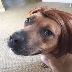 Meet your Posher, Shaleika